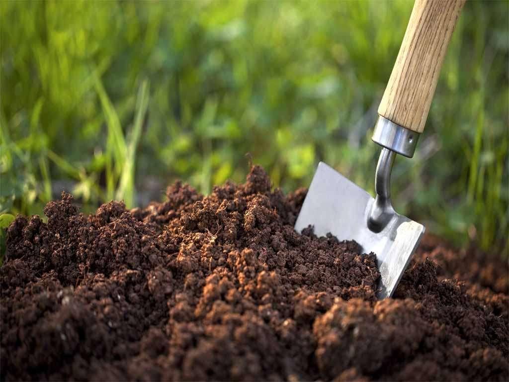 Expert Soil Services